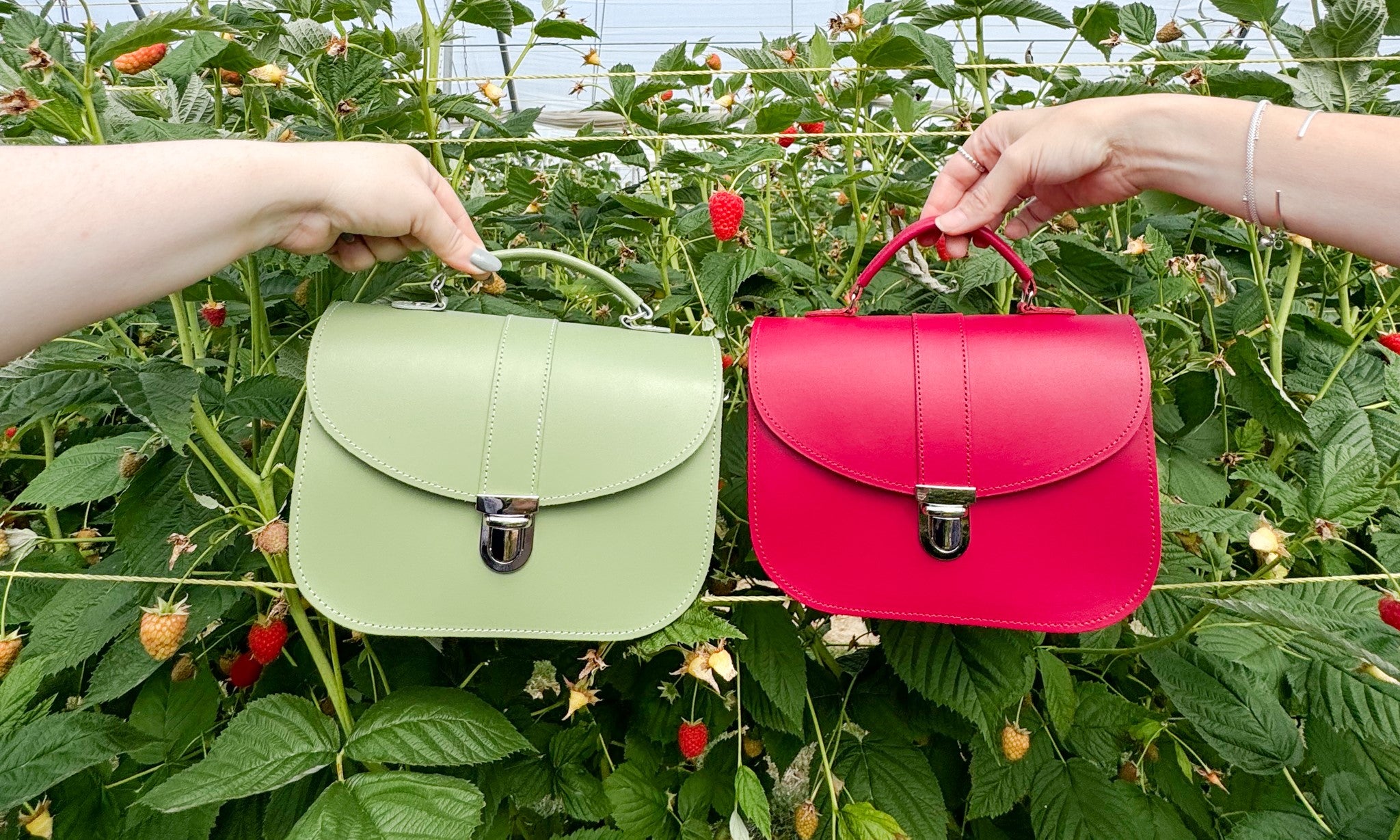 sage green and magenta summer berries collection bags